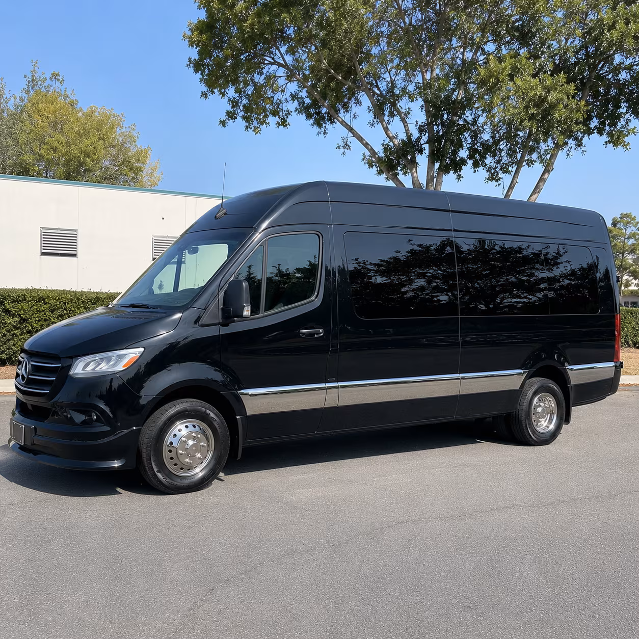 sprinter van with driver